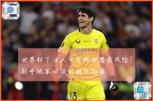 世界杯下注入口有哪些潜在风险？新手玩家必读的避坑指南