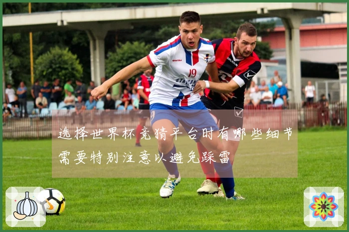 选择世界杯竞猜平台时有哪些细节需要特别注意以避免踩雷